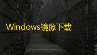 Windows镜像下载器 7.35 绿色版